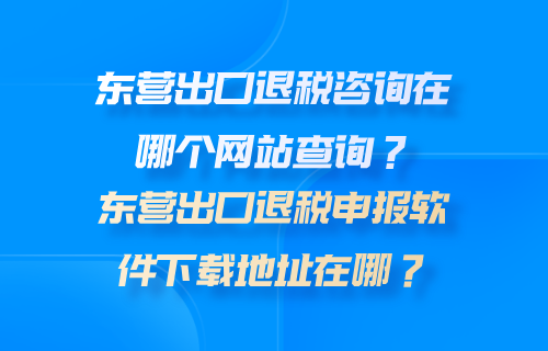 东营出口退税咨询在哪个网站查询？东营出口退税申报软件下载地址在哪？