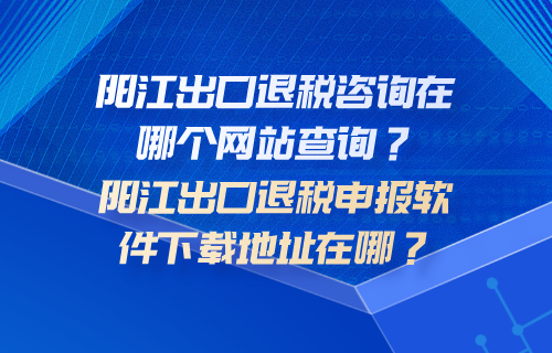 阳江出口退税咨询在哪个网站查询？阳江出口退税申报软件下载地址在哪？