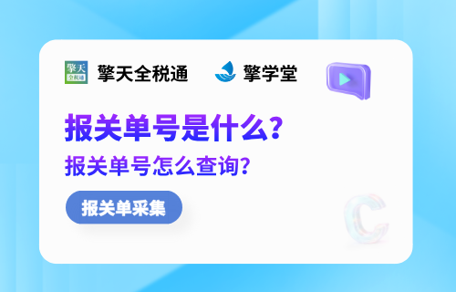 报关单号是什么，报关单号怎么查询？